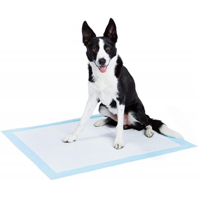 Professional Non Woven Fabric Charcoal High Absorbency Pet puppy Training Pads Japanese Pet Puppy Select  WC Wee Pee Pads